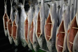 銀鮭の塩漬けを冷蔵庫内に干している様子を写した写真