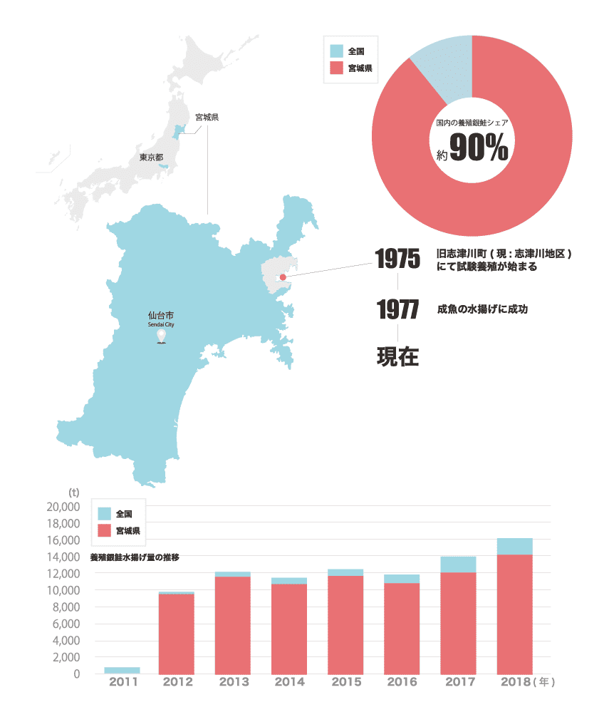 宮城県産の銀鮭について説明しているイラスト。宮城県の位置を示す図と2008年からの水揚げ推移を示すグラフが描かれています。